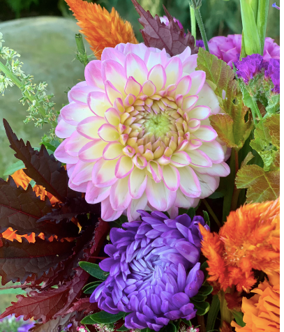 Small Blush Mason Jar with Twine Bow – Backyard Dahlia